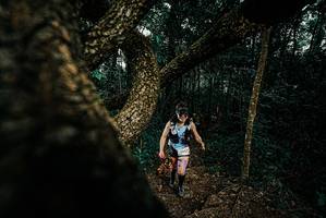 BIB: 
                            <button type="button" onclick="openModal(25694519)" class="btn btn-primary btn-sm float-right btn-popup" data-toggle="modal" data-target=".modal-high-quality">
                        <i class="fas fa-shopping-cart"></i> Add to Cart
                    </button>
                                            <button type="button" onclick="isThisMe(25694519, true)" class="btn btn-success btn-sm float-right btn-popup btn-isme hidden" data-toggle="tooltip" data-placement="bottom" title="นี่คือรูปของคุณใช่ไหม คลิกที่นี่เพื่อเอาเข้าอัลบั้ม">
                        <i class="fas fa-plus"></i> Add to album
                    </button>
                    <button type="button" onclick="isThisMe(25694519, false)" class="btn btn-warning btn-sm float-right btn-popup btn-isnotme hidden">
                        <i class="fas fa-ban"></i> Remove from album
                    </button>